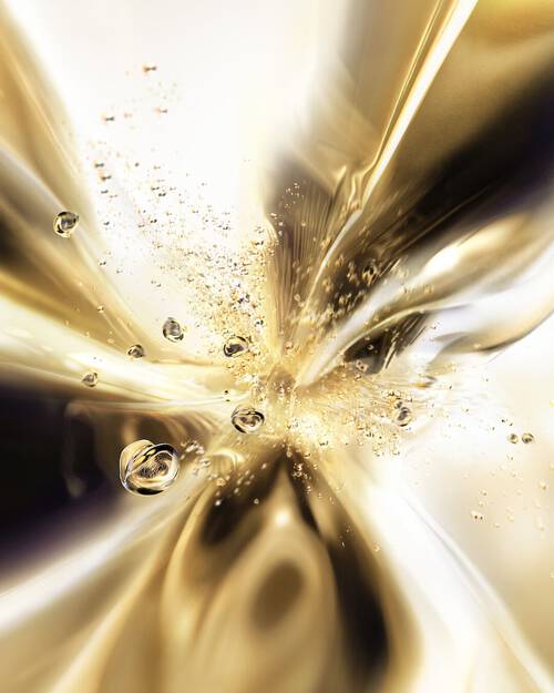 Illustration de l’article sur la longevite