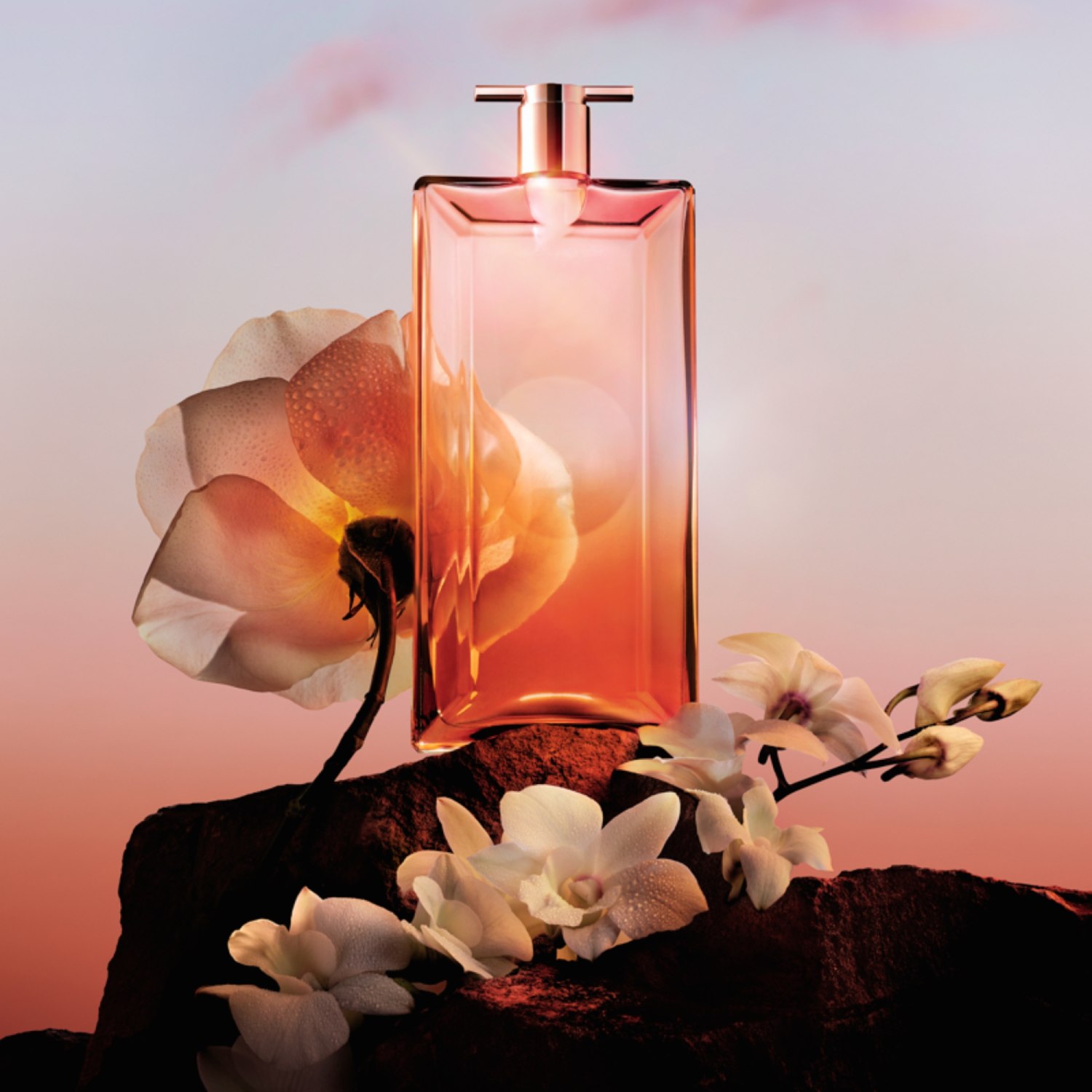 Flacon de parfum élégant aux teintes rose orangé, entouré de fleurs blanches sur fond pastel lumineux.